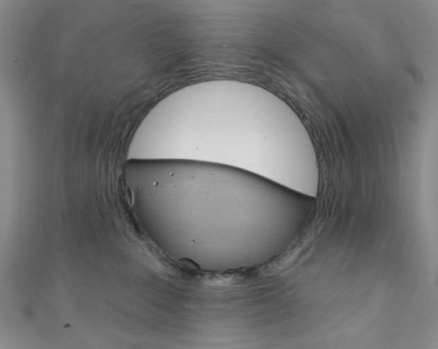 X0000111830235200907231029