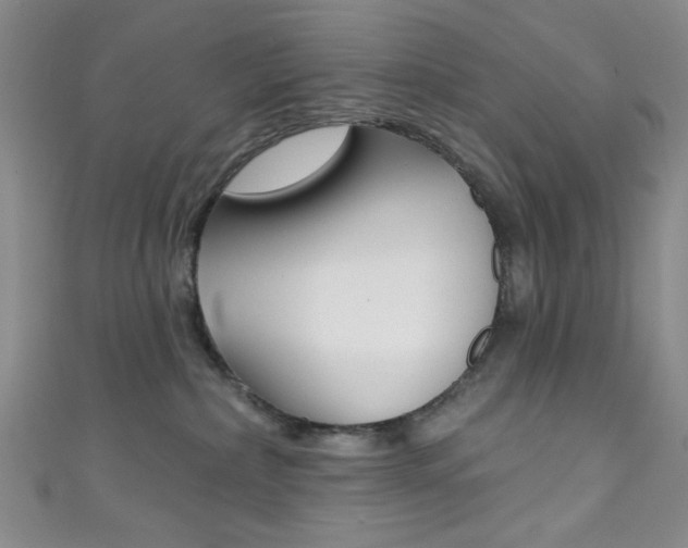X0000111830236200907231029