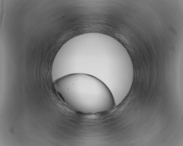 X0000111830237200907231029