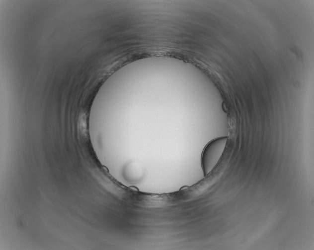 X0000111830238200907231029