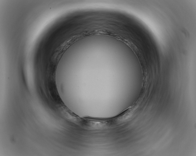 X0000111830239200907231029