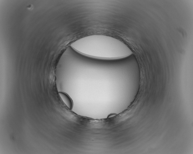 X0000111830240200907231029