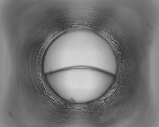 X0000111830241200907231028