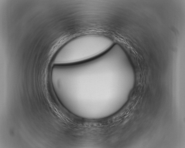 X0000111830242200907231028