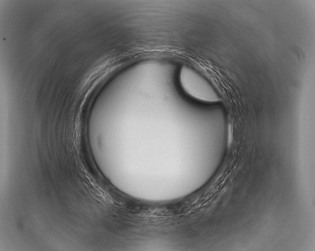 X0000111830243200907231028
