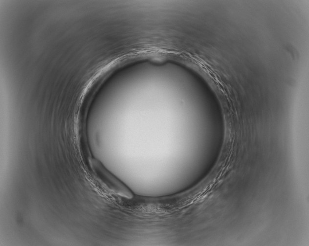 X0000111830244200907231028