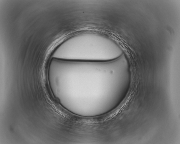 X0000111830245200907231028