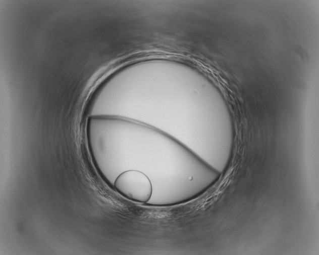 X0000111830247200907231028