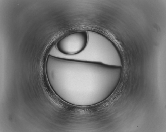 X0000111830250200907231028