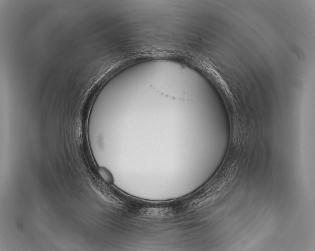 X0000111830251200907231028