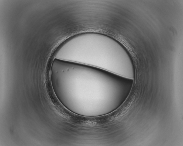 X0000111830252200907231028