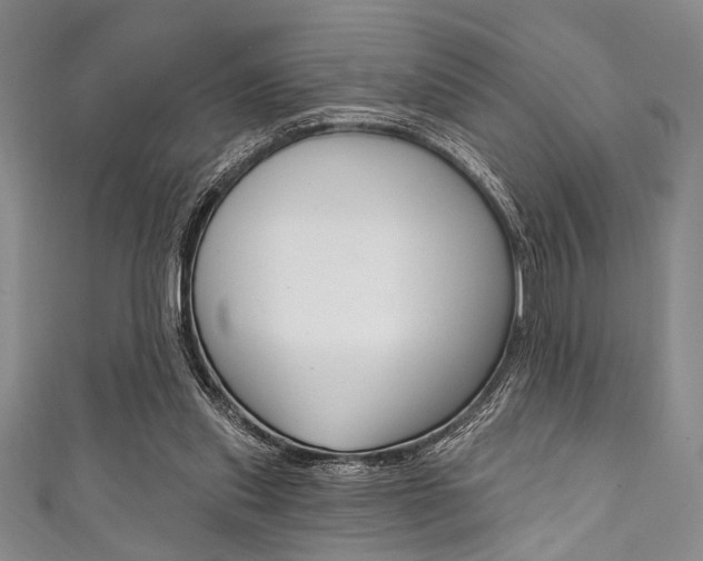 X0000111830253200907231028