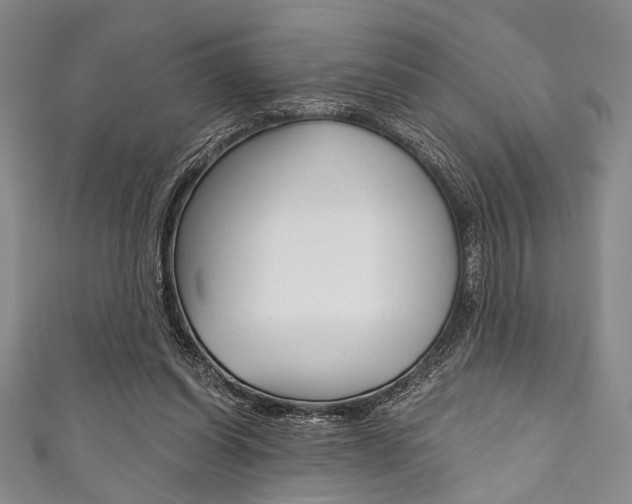 X0000111830254200907231028