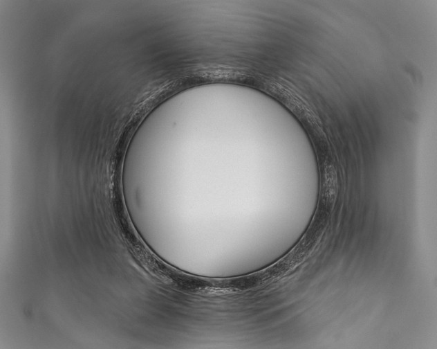 X0000111830255200907231028