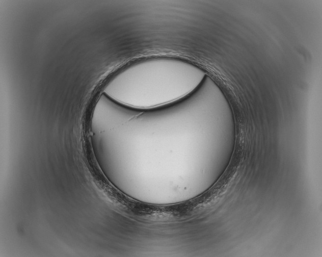 X0000111830256200907231028