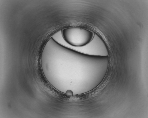X0000111830257200907231028