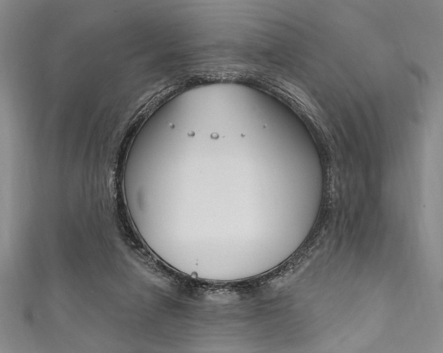X0000111830258200907231028