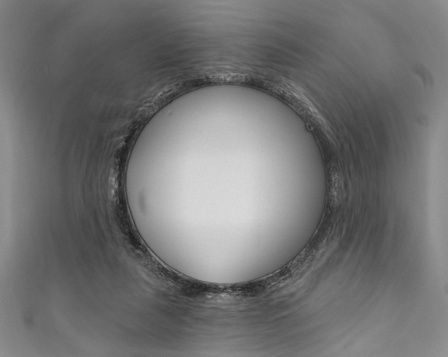 X0000111830259200907231028