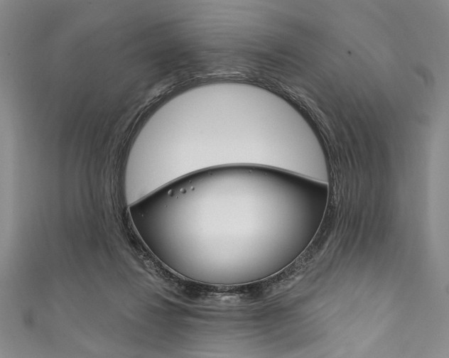 X0000111830260200907231028