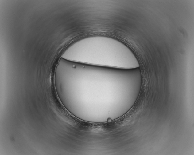 X0000111830262200907231028