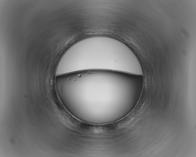 X0000111830264200907231028