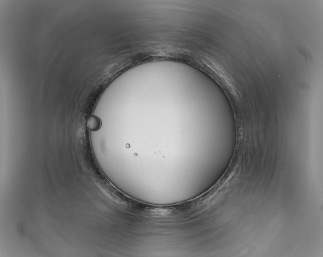 X0000111830265200907231028