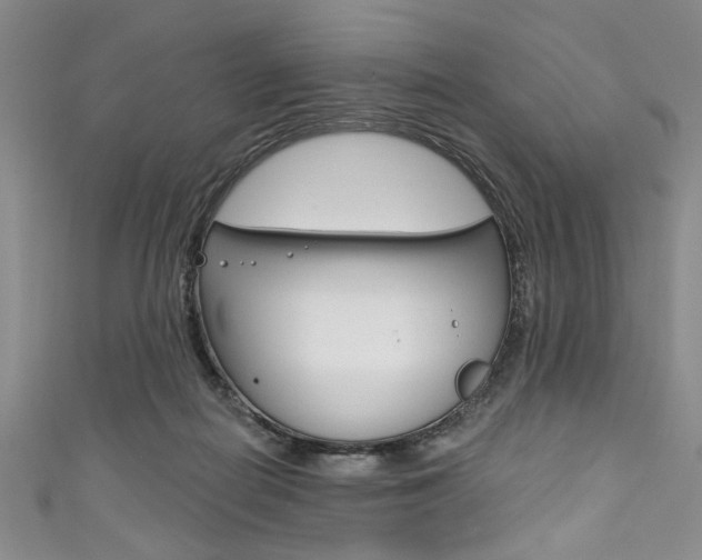 X0000111830266200907231028