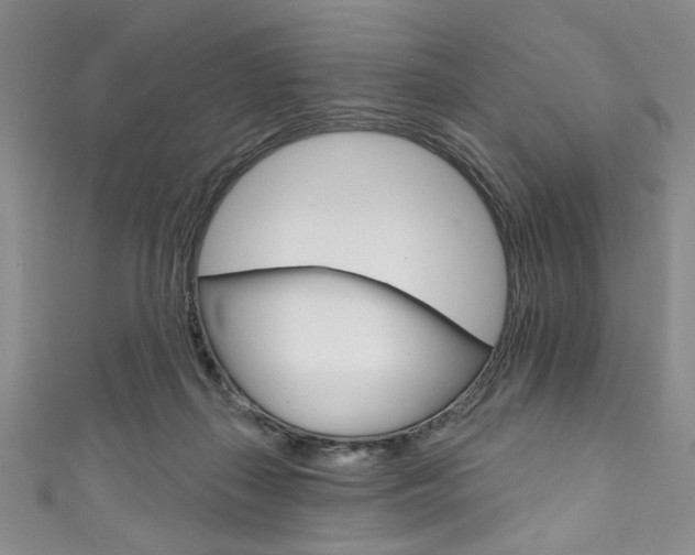 X0000111830267200907231028