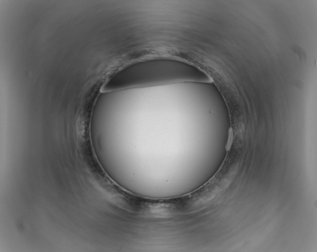 X0000111830268200907231028