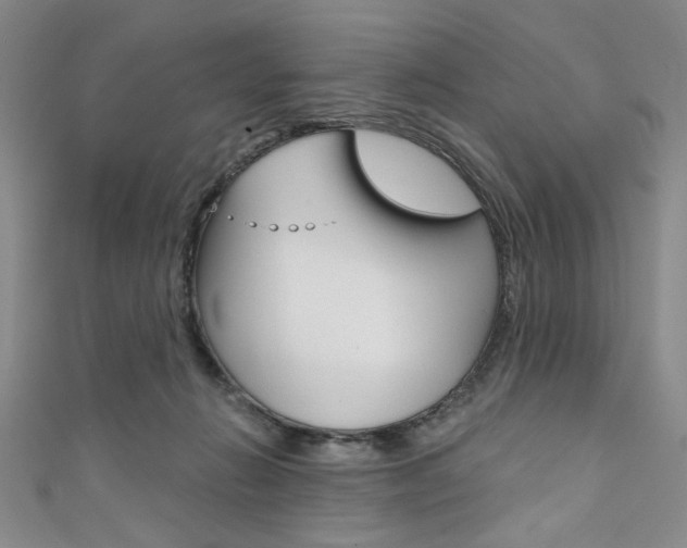 X0000111830270200907231028