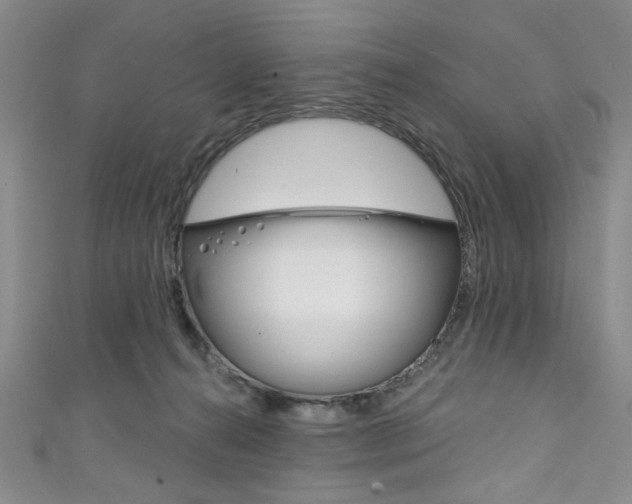 X0000111830272200907231028