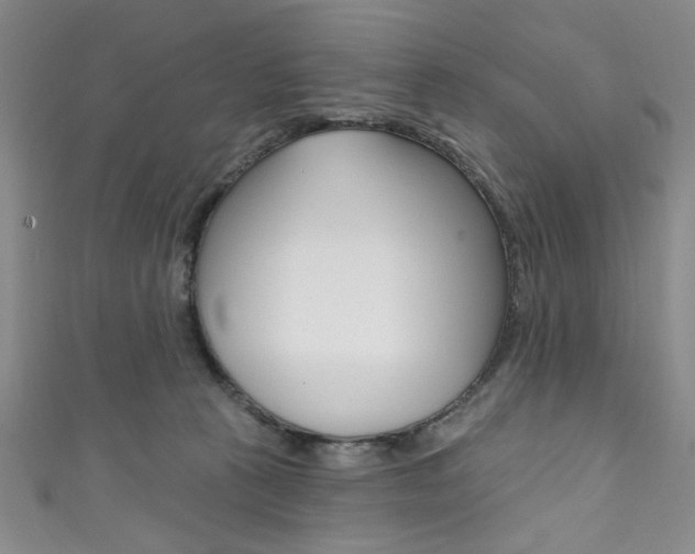 X0000111830273200907231028