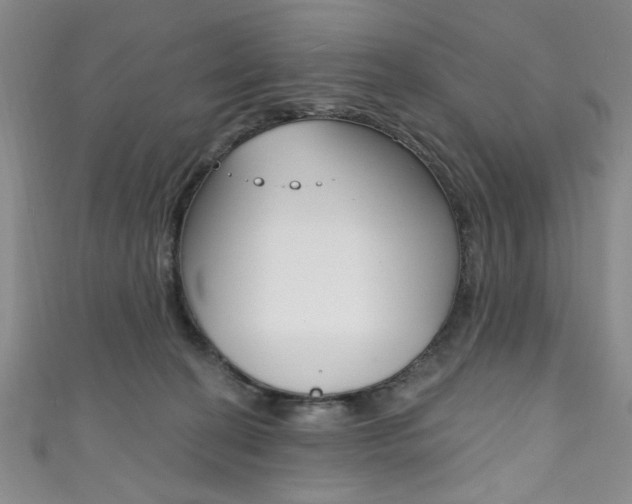 X0000111830274200907231028