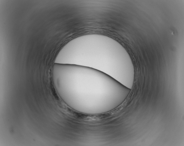 X0000111830275200907231028