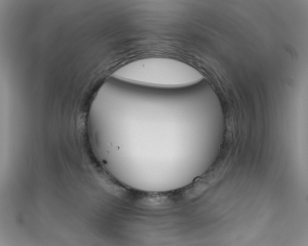 X0000111830278200907231028
