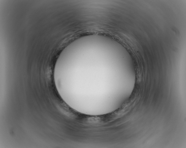 X0000111830279200907231028