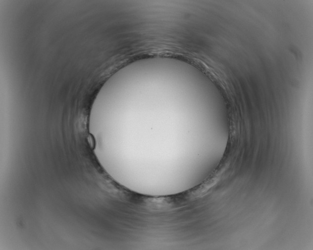 X0000111830281200907231028