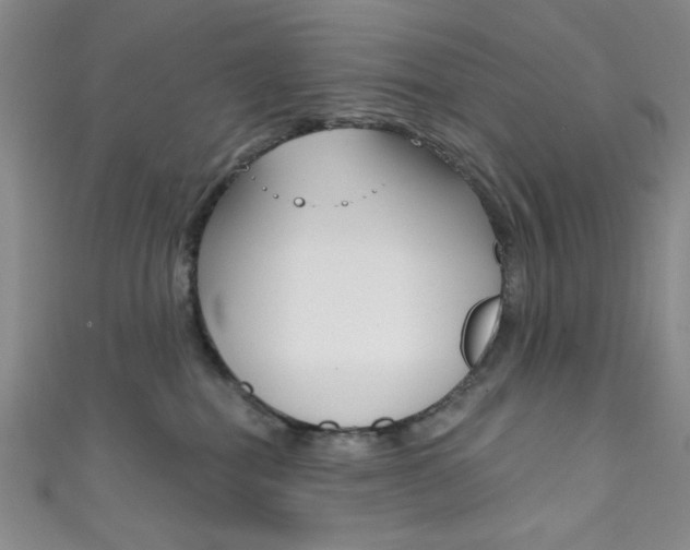 X0000111830282200907231028