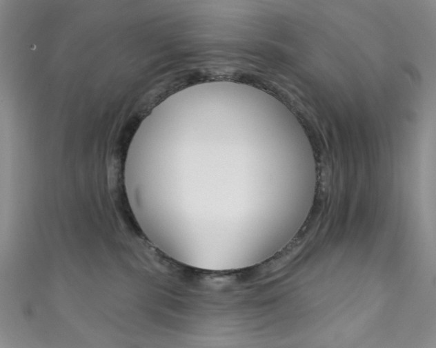 X0000111830283200907231028
