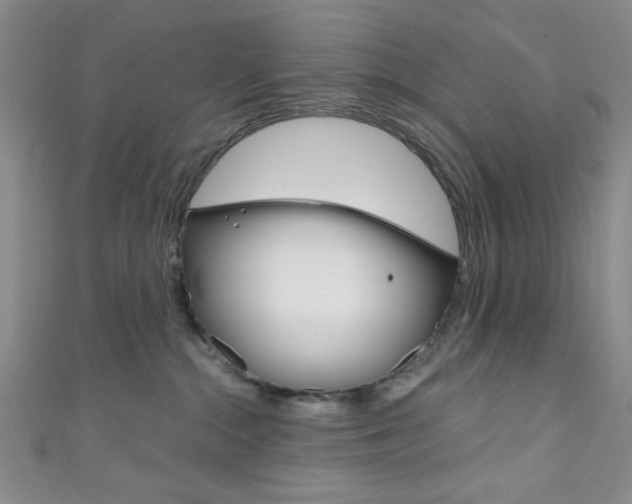 X0000111830284200907231029
