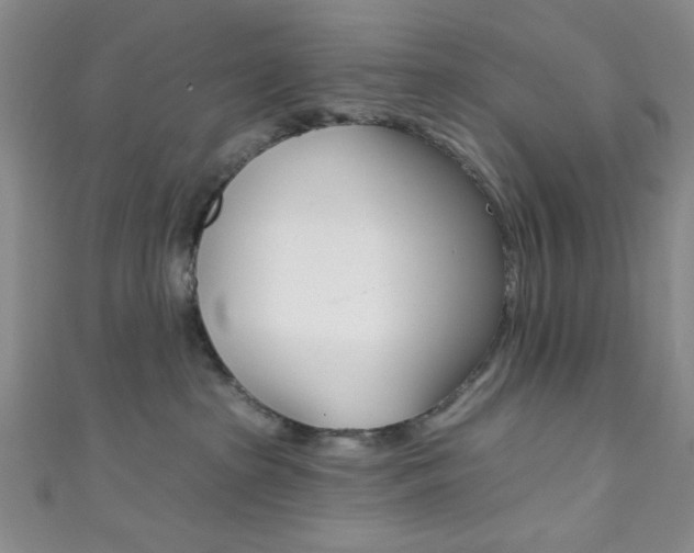 X0000111830285200907231029
