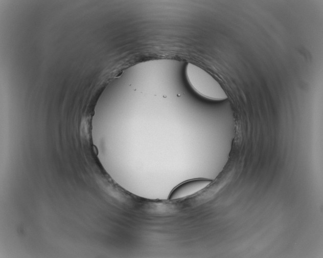 X0000111830286200907231029