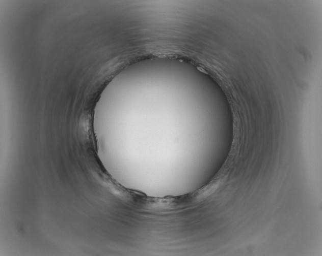 X0000111830288200907231029