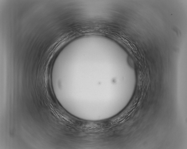 X0000111830290200907231028