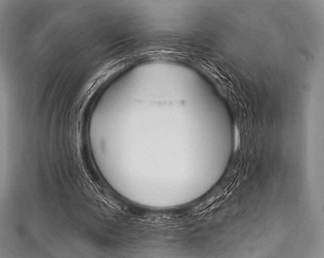 X0000111830291200907231028