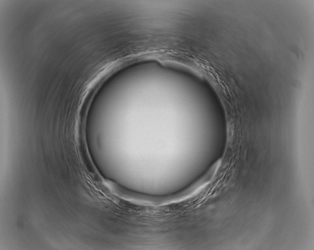 X0000111830292200907231028