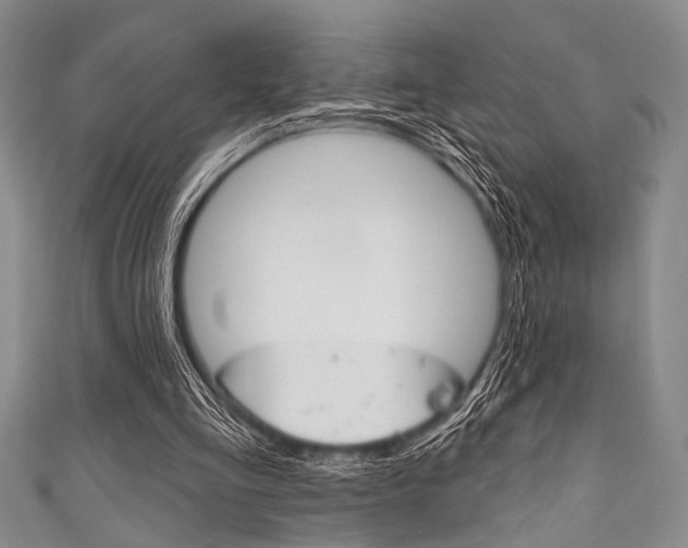 X0000111830293200907231028