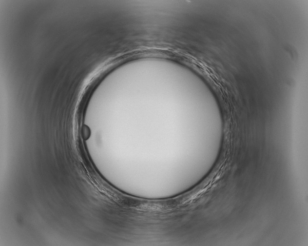 X0000111830294200907231028
