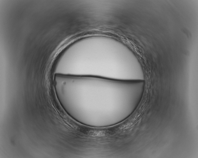 X0000111830295200907231028