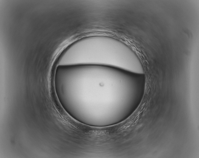 X0000111830296200907231028